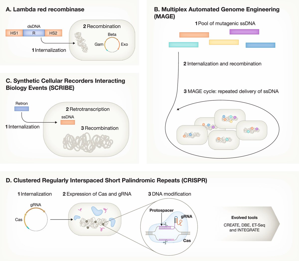 Mol Syst Biol (@molsystbiol) on Twitter photo review by <a href="/lab_serrano/">serranoLab</a> discusses bacteria-based live biotherapeutics ➡️ embopress.org/doi/full/10.10… review by <a href="/lab_serrano/">serranoLab</a> discusses bacteria-based live biotherapeutics ➡️ embopress.org/doi/full/10.10…