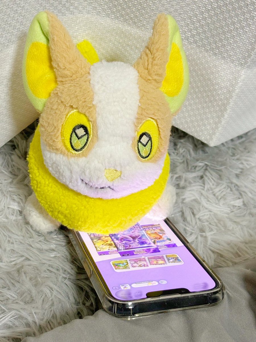 ぼそぼそのワンパチ (@bosopachi) on Twitter photo 