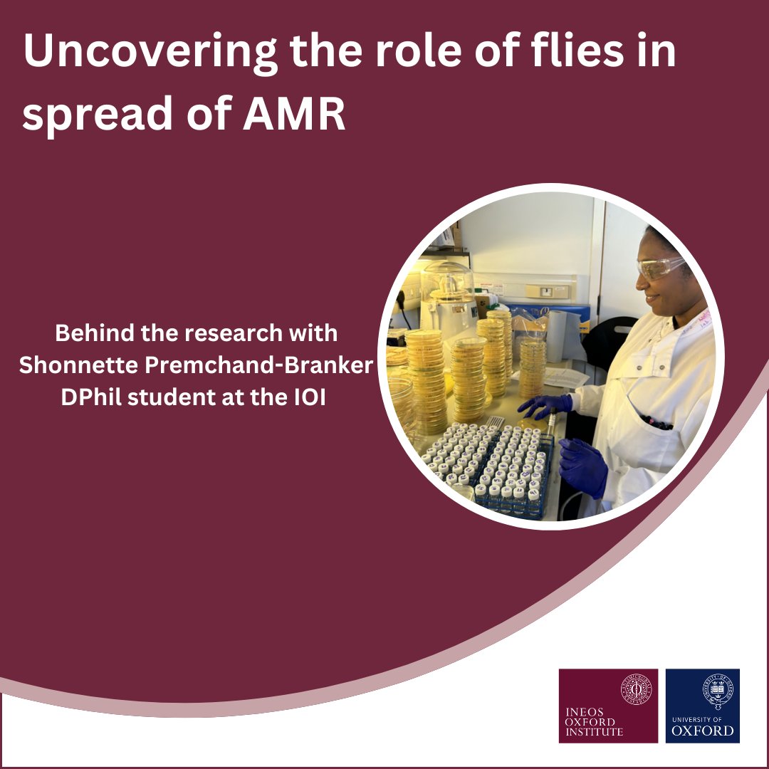 Ineos Oxford Institute for Antimicrobial Research (@ineosoxford) on Twitter photo Can flies be carries of antibiotic resistant genes? 🔬
IOI's DPhil student Shonnette Premchand-Branker is on a mission to investigate. Find out how in this article: ineosoxford.ox.ac.uk/index.php/news…
<a href="/OxfordBiology/">Oxford Biology</a> Can flies be carries of antibiotic resistant genes? 🔬
IOI's DPhil student Shonnette Premchand-Branker is on a mission to investigate. Find out how in this article: ineosoxford.ox.ac.uk/index.php/news…
<a href="/OxfordBiology/">Oxford Biology</a>