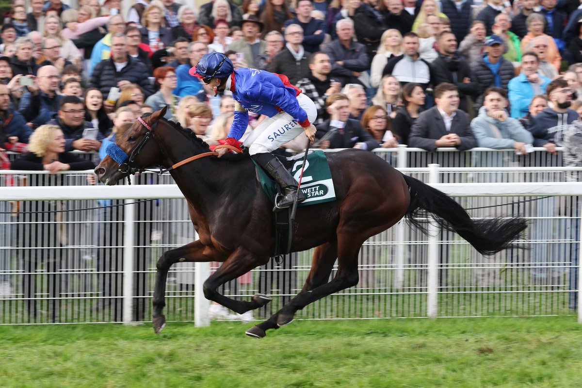 Deutscher Galopp (@deutschergalopp) on Twitter photo ASSISTENT (5yo c) - Sea The Moon x Anna Kalla
Owned by Eckhard Sauren
Bred by Gestüt Röttgen
In training with Henk Grewe
<a href="/ThoreHammer/">Thore Hammer Hansen</a> rides
🥇G2 Hansa-Preis🇩🇪
🥇G2 Carl Jaspers Preis🇩🇪
🥇G3 Baden Galopp Herbst Trophy🇩🇪
🥈G1 Grosser Allianz Preis von Bayern🇩🇪
🥈G2 Carl Jaspers ASSISTENT (5yo c) - Sea The Moon x Anna Kalla
Owned by Eckhard Sauren
Bred by Gestüt Röttgen
In training with Henk Grewe
<a href="/ThoreHammer/">Thore Hammer Hansen</a> rides
🥇G2 Hansa-Preis🇩🇪
🥇G2 Carl Jaspers Preis🇩🇪
🥇G3 Baden Galopp Herbst Trophy🇩🇪
🥈G1 Grosser Allianz Preis von Bayern🇩🇪
🥈G2 Carl Jaspers