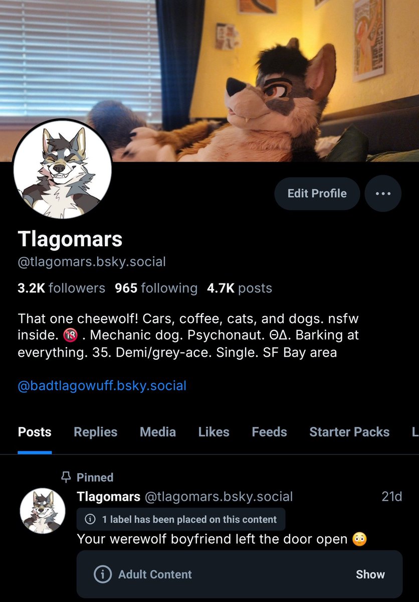 Sepia CheeWolf woof🐱🐾 tweet media