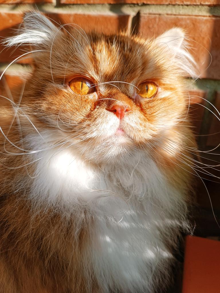 Четверговое.