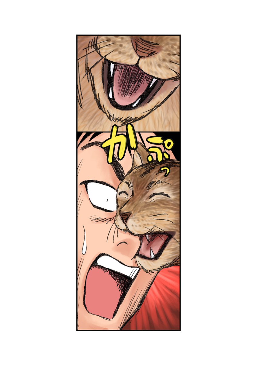 逃げ猫10/12 