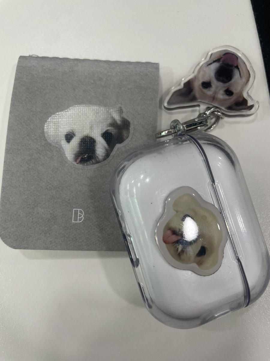 🐾보따리 tweet media