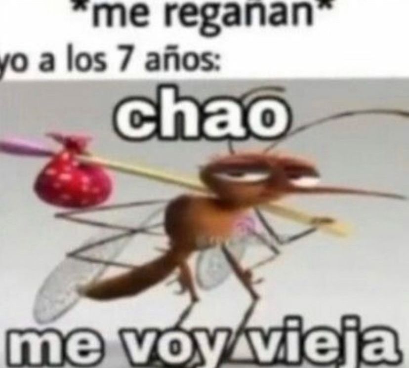 Memakker (@memakker) on Twitter photo 