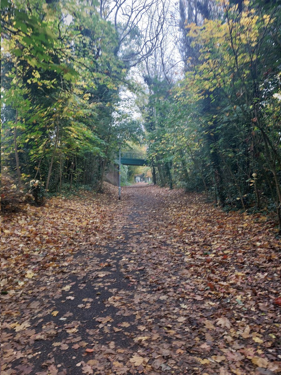" All the leaves are brown" here in Salford