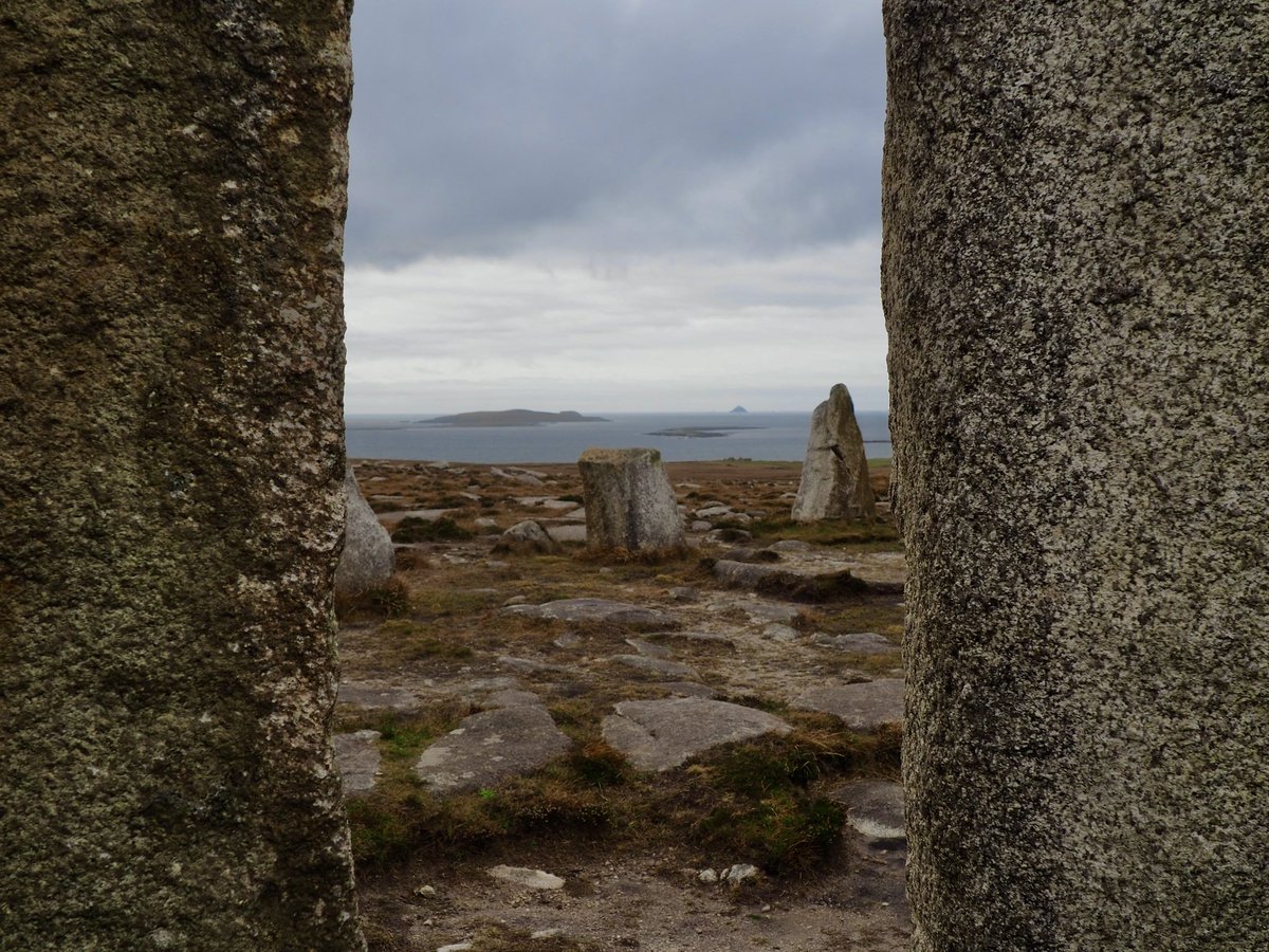 Rosalind Thacker tweet media