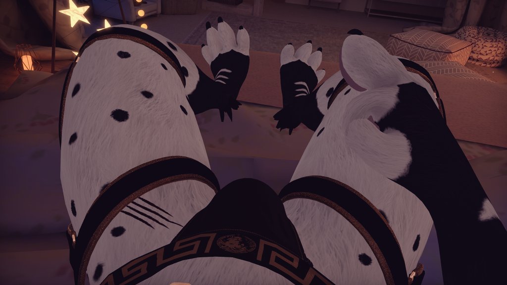 Cheetah Paws tweet media