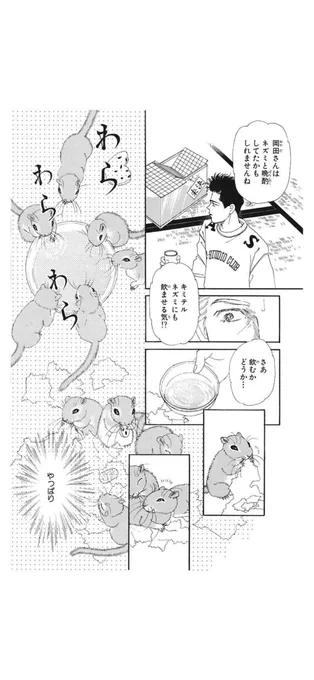 「動物のお医者さん」より引用
ハムスターじゃなくてスナネズミだけど彼らと晩酌するのも理にかなってた?のかな… 