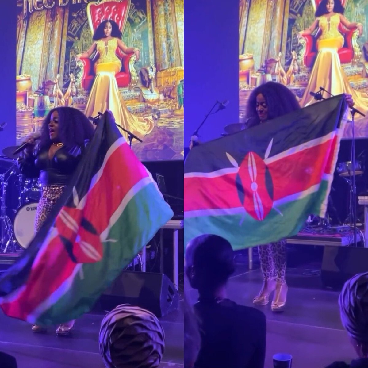 kenyasgossips's tweet image. Reggae artist, Etana, waves the Kenyan flag high while performing  live at The Netherlands ❤️