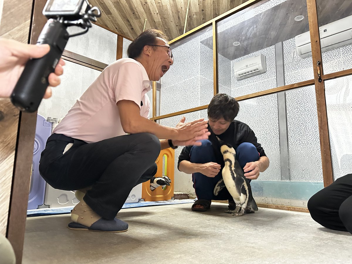 きゅーてぃーすくーるあにまるず コードギアス」“生きろ！”スザクはギアス発動状態!! ルルーシュ率いる