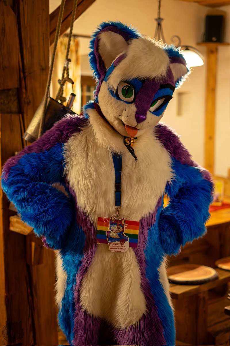 Raus zu gehen? Brr zu kalt. Lieber herinnen die Wärme genießen.

#furry #fursuit #furries #furrcat