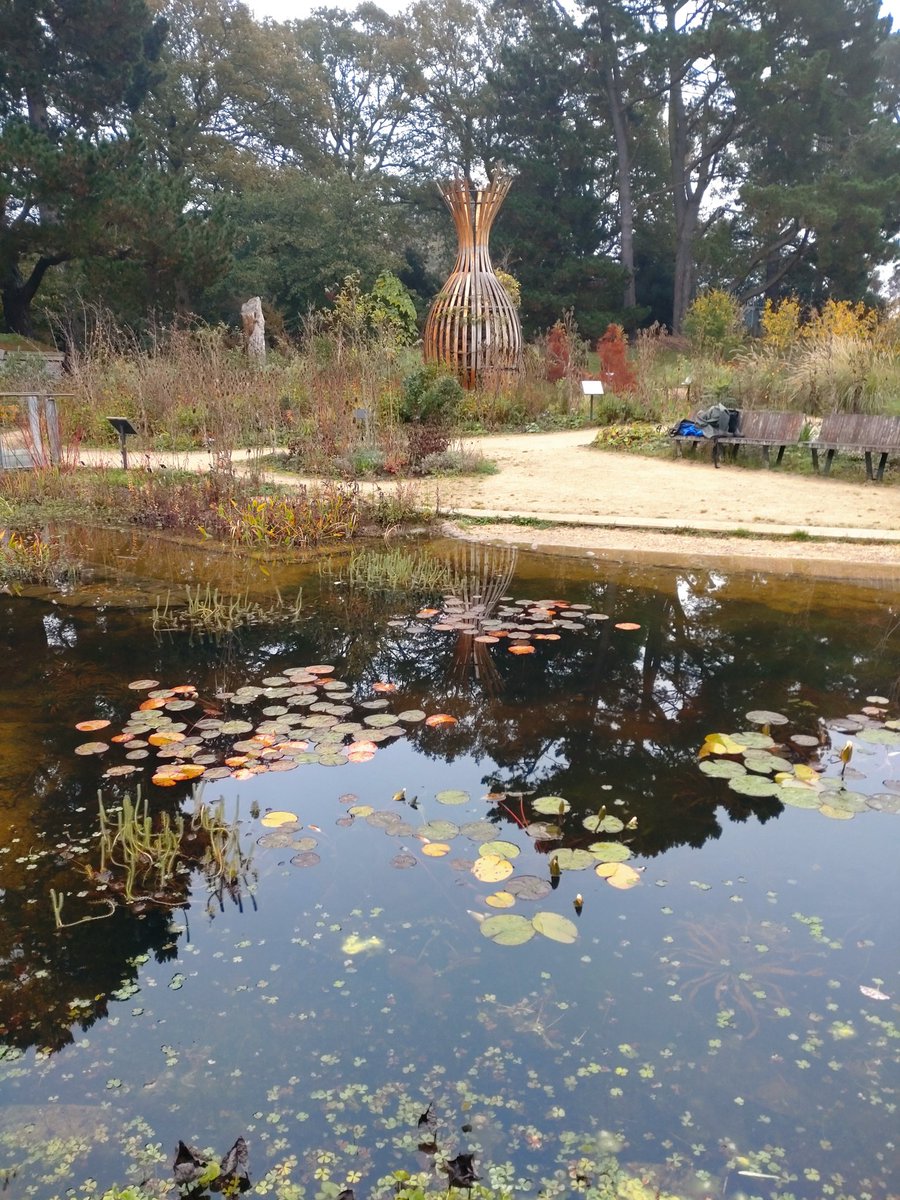 Andy Salisbury (@andrewsalisbur2) on Twitter photo Good morning from <a href="/RHSWisley/">RHS Garden Wisley</a> Good morning from <a href="/RHSWisley/">RHS Garden Wisley</a>