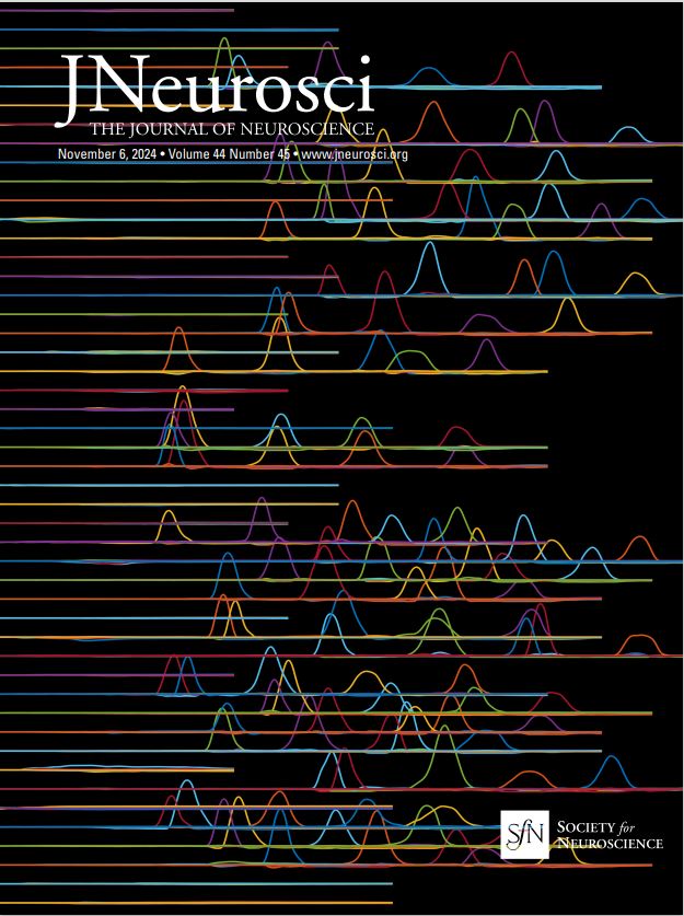 KatjaKornysheva's tweet image. Our data (behavioural & recorded in the scanner!) from our recent paper jneurosci.org/content/44/45/… was featured on the cover of @SfNJournals @SfNtweets today!