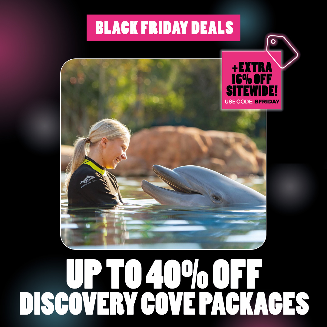 ☀️🏝️ Get into the swim of things this Black Friday! 🏝️☀️

🤑 Save up to 40% off Discovery Cove Packages
😱 PLUS an extra 16% saving this with code BFRIDAY
😋 All-inclusive food and drinks included

Book now 👉 bit.ly/33HUNIh 

*T&amp;Cs apply

#blackfriday #orlando
