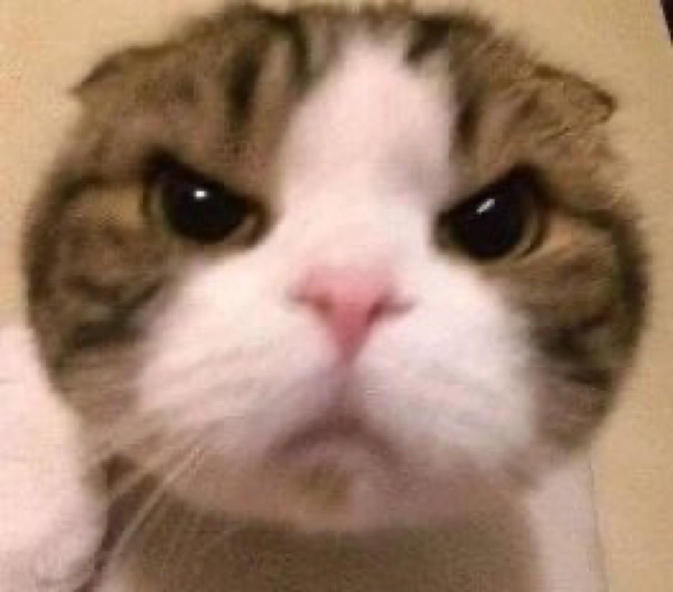 eN0JHNteojKrqwP's tweet photo. ムッ！！！！！！！！！！！！！！

こわかった？笑 https://t.co/0Wokh2XXDu
