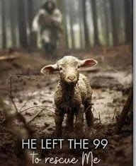 CeeOkafor75447's tweet image. U too special!
Jesus fit reach any extent to save u. Na him de leave 99 sheep go find the 1 weh loss. 
But u sef suppose get sense. No de stray anyhow. Na God pikin u be, u no be goat.

(c.f Lk 15:1-10)
#DailyScripturalGinger #439
07.11.24