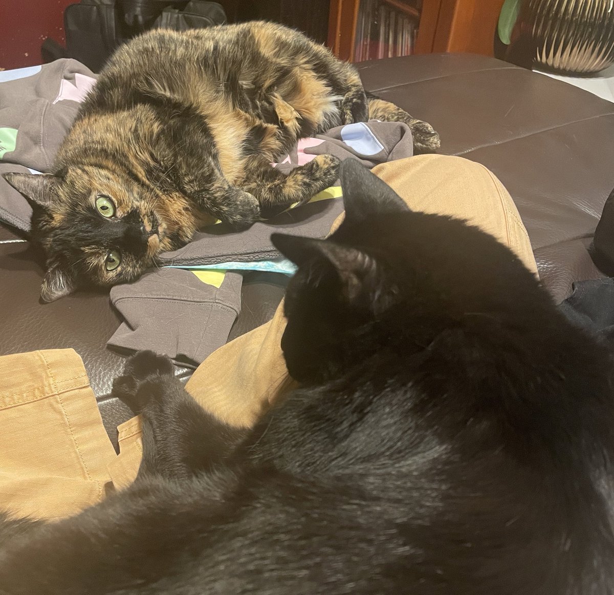 Jacqueline Grace Lopez tweet media