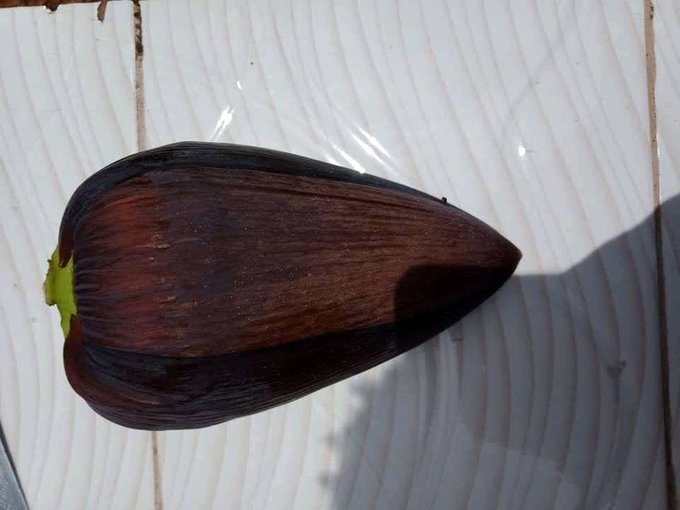 AllAfroThreads's tweet image. 素敵です！
ついに女将さんの手作り料理とご対面ですね！！
今日に関してはこの宿の唯一のお客である自分だけのために作ってくれたと思うと、感動してしまいそうです！😭