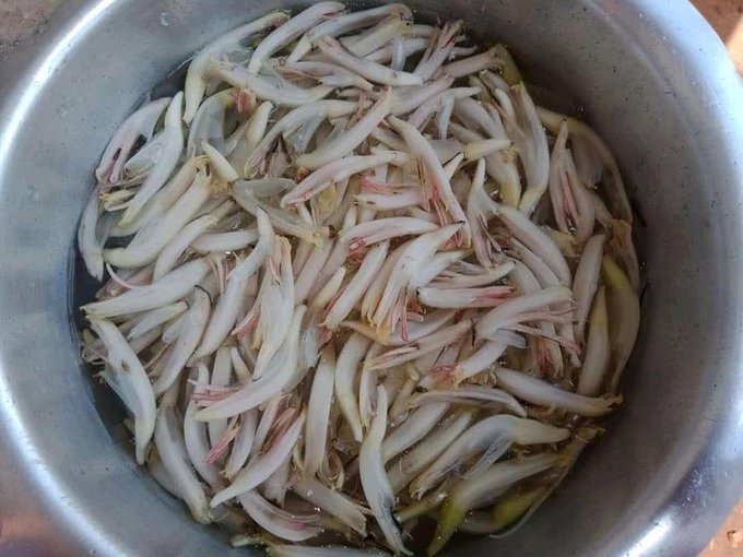 AllAfroThreads's tweet image. 素敵です！
ついに女将さんの手作り料理とご対面ですね！！
今日に関してはこの宿の唯一のお客である自分だけのために作ってくれたと思うと、感動してしまいそうです！😭