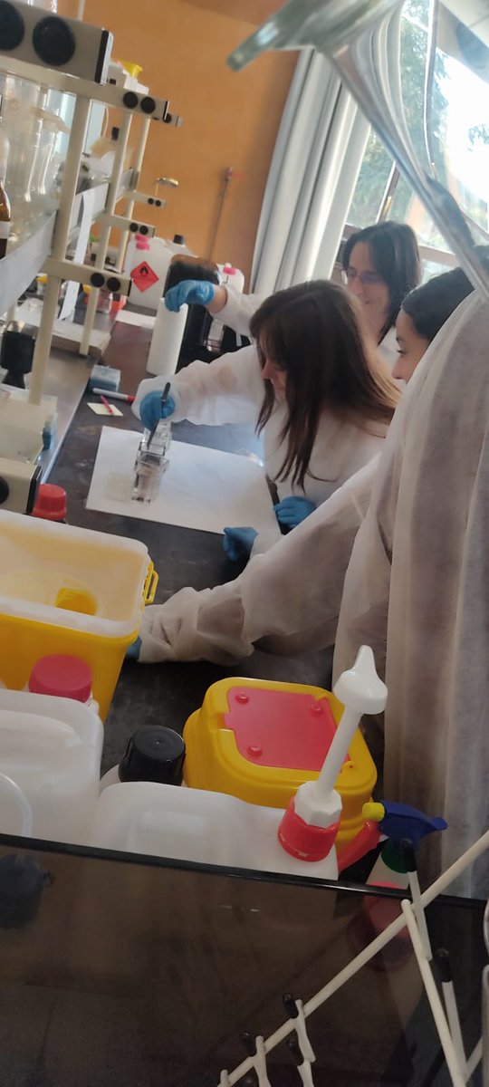 ProyectoCeipa's tweet photo. Ayer, un miembro de nuestro equipo @gine_elena participó en la #SemanadelaCiencia  con "Descubriendo células y tejidos" en la @FMedicinaUniCM de la @unicomplutense @ucc_complutense . Una gran oportunidad para aprender y compartir sobre #Investigacion. 🧬🔍 https://t.co/E0lElNiQRb