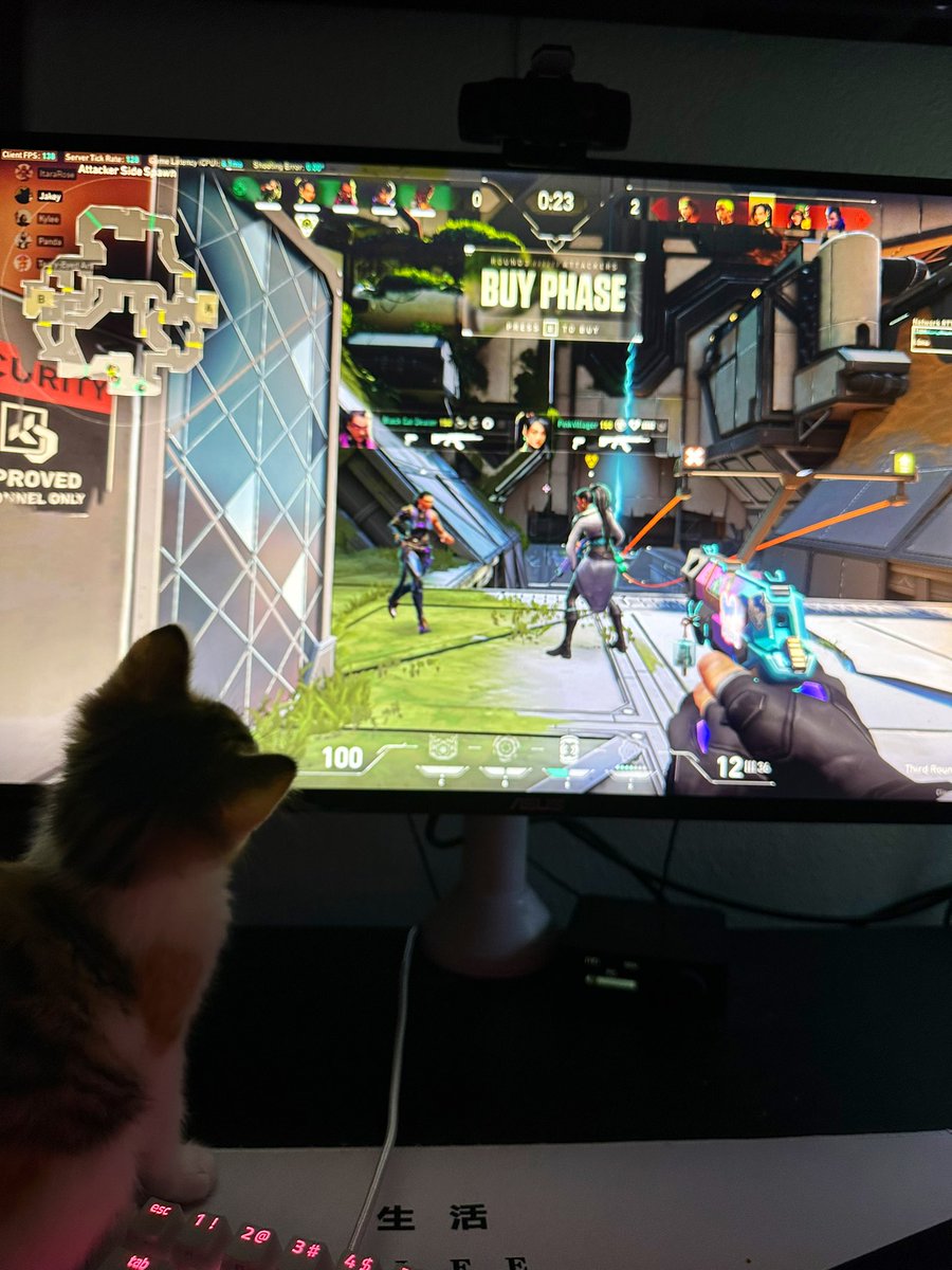 When she watches you play Valo🥰