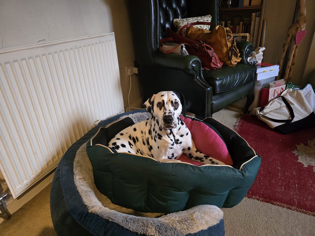 emma monkman tweet media