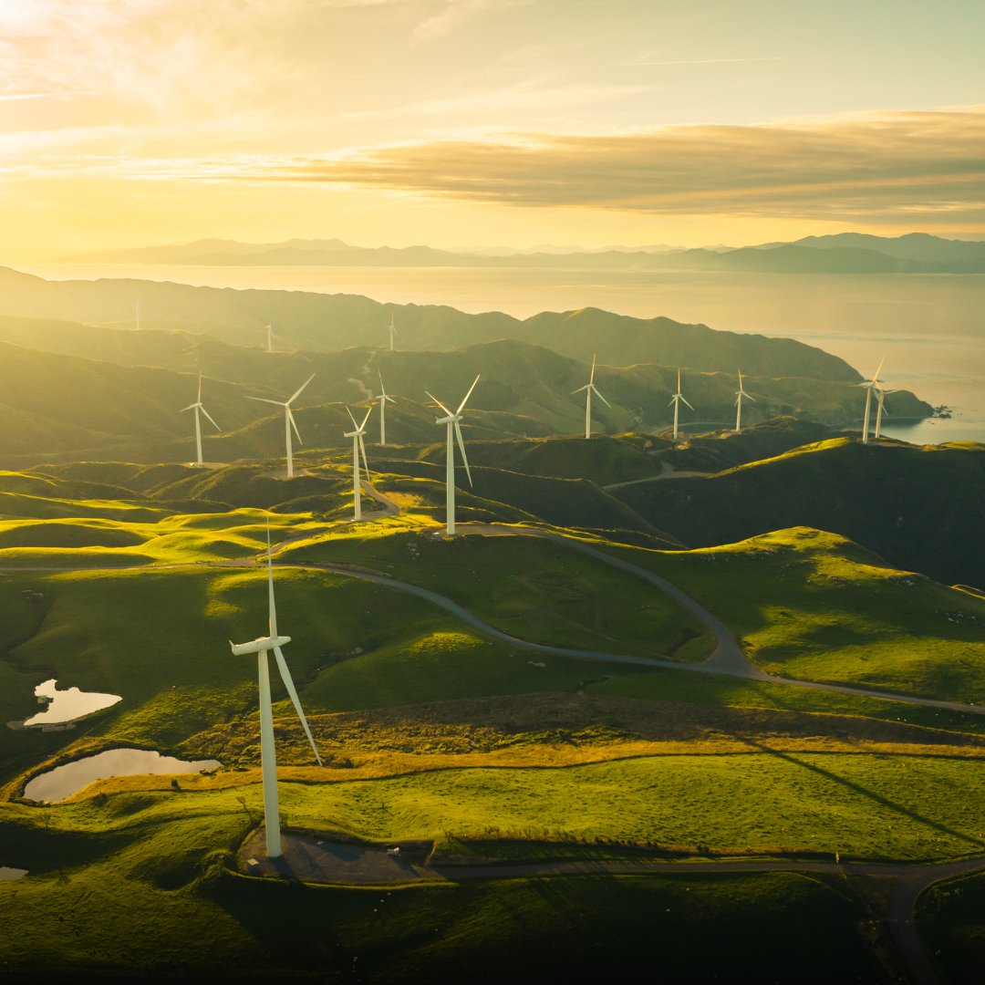 Zapsa5's tweet photo. UK Foreign Secretary David Lammy announced the Global Clean Power Alliance, which promotes #RenewableEnergy and reduces #FossilFuel use. 

Read the full story here: https://t.co/N1hn4BZbfW https://t.co/cp2DC1bmXr