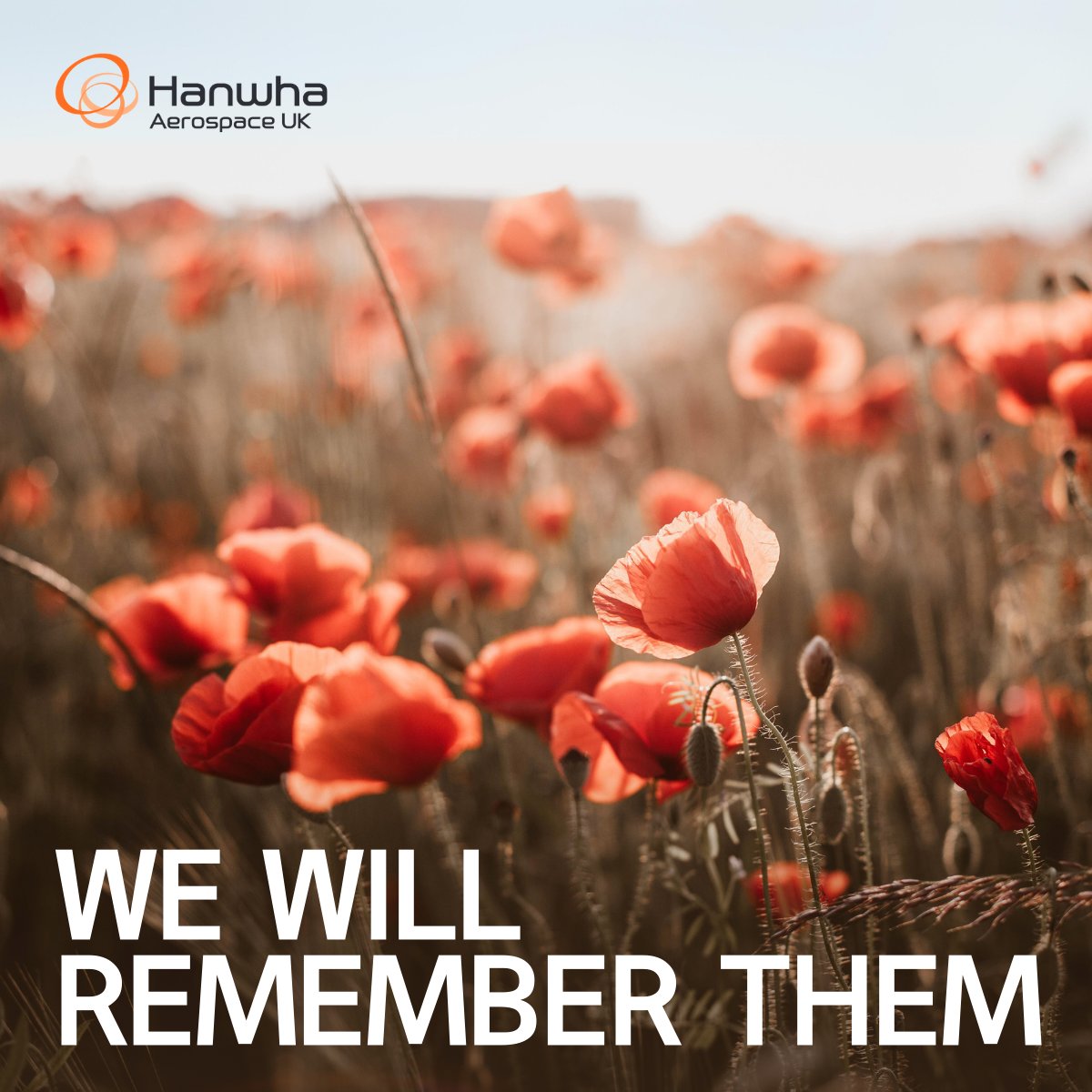 Hanwha_UK's tweet photo. As we approach #RemembranceSunday and #ArmisticeDay Commemorations, we reflect on the sacrifices made by generations of servicemen and women.

We honour the courage, resilience, dedication and sacrifice of those who served, as well as those who to serve today, and their families. https://t.co/Iv1tAhES4q