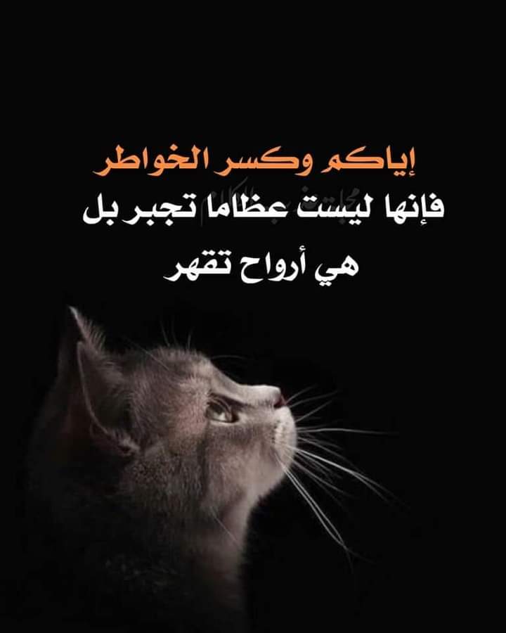 ✨✨

" كلماتك اللطيفة التي تقولـها ولا تلقي لها بالاً، 
قد تصنع يومًا جميلاً عند شخص ما
✨✨