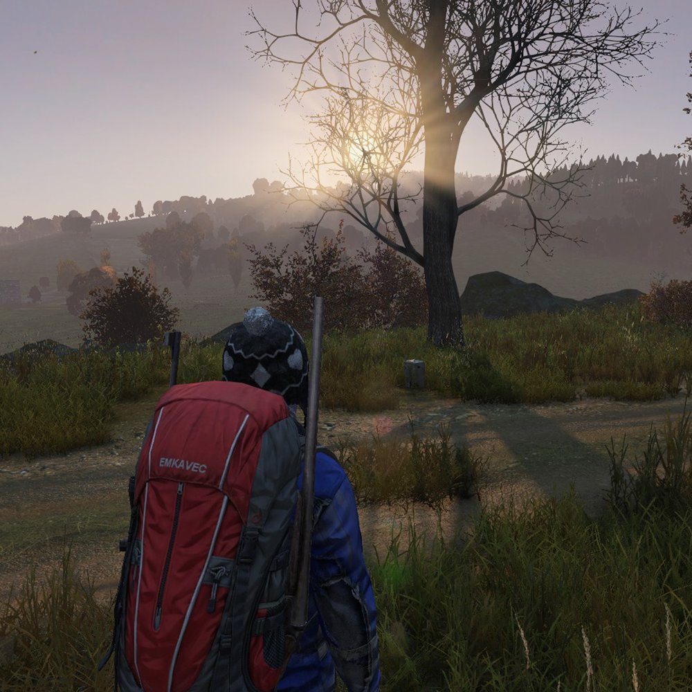 Es macht echt wieder Spaß. Bin gerade in Elektro unterwegs und genieße das Scavenging gerade wieder sehr.
Aktuell auf meinem eigenen Server: i.mtrbio.com/nfahjrbumm
#dayZ #dayzvanilla #chernarus #server #pveserver