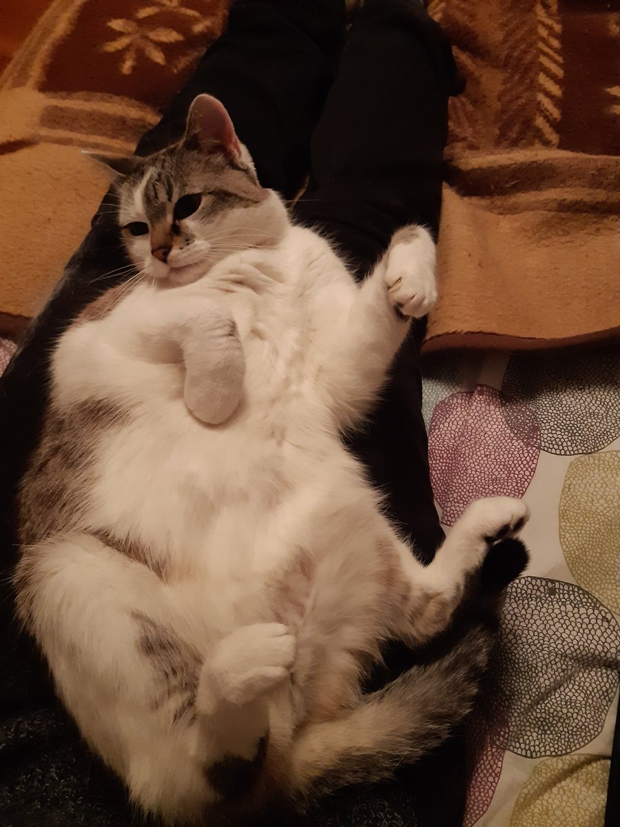 Many different ideas on inspiration in teaching at Teaching Academy's Education Day at <a href="/tudelft/">TU Delft</a>, but noone mentioned cats or unicorns... 😉