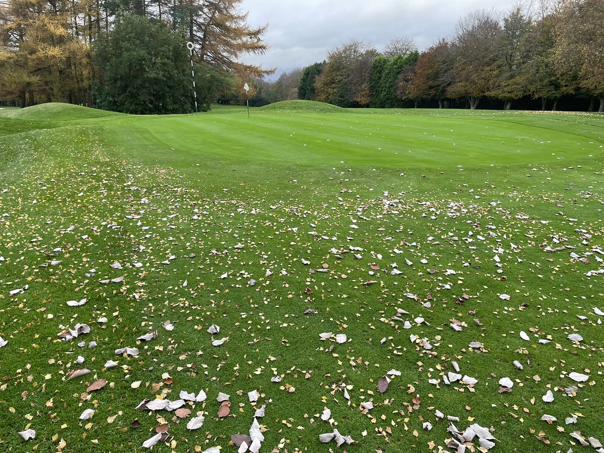belvoirbigsmall's tweet photo. Big shout out to all the Greenkeepers out there battling leaves , high temps , disease, worm cast , and soft ground conditions trying to keep grass down. If we can get though last year we can do the same this year 🙏. Worm cast is the biggest problem in greenkeeping ATM. https://t.co/eYqp9gl2aw