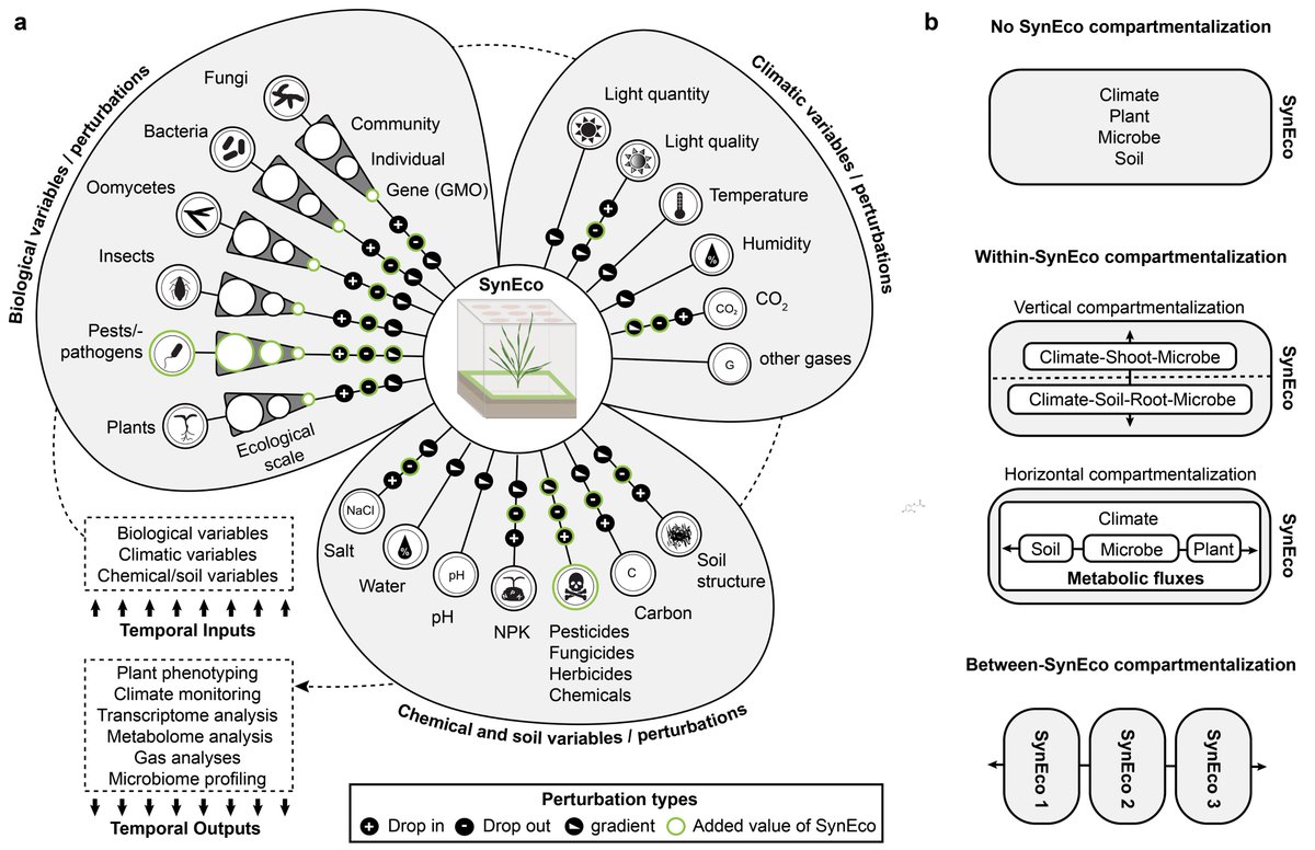Johannes Herpell (@herpelljohannes) on Twitter photo I'm super excited to share our Tansley Insight in <a href="/NewPhyt/">New Phytologist</a>
We review synthetic ecology (SynEco) approaches in the plant-microbiota field and put forward the idea of "reconstitution ecology", a SynCom inspired way of constructing artificial ecosystems
nph.onlinelibrary.wiley.com/doi/10.1111/np… I'm super excited to share our Tansley Insight in <a href="/NewPhyt/">New Phytologist</a>
We review synthetic ecology (SynEco) approaches in the plant-microbiota field and put forward the idea of "reconstitution ecology", a SynCom inspired way of constructing artificial ecosystems
nph.onlinelibrary.wiley.com/doi/10.1111/np…