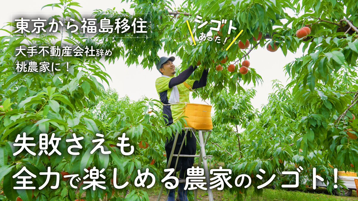 challengelocal's tweet photo. 【新着動画】
東京のオフィスから桃畑へ！
不動産営業マンの経験が活きる？！福島で家業を継ぎ、桃農家になった若者に密着取材しました🍑

▼動画はこちら
https://t.co/ANASDaqws7

#地方移住 #福島県  #農家 https://t.co/AZZhg082gt