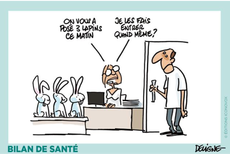 NandidaSilva's tweet photo. On vous a posé des lapins. https://t.co/jPgJljsflM