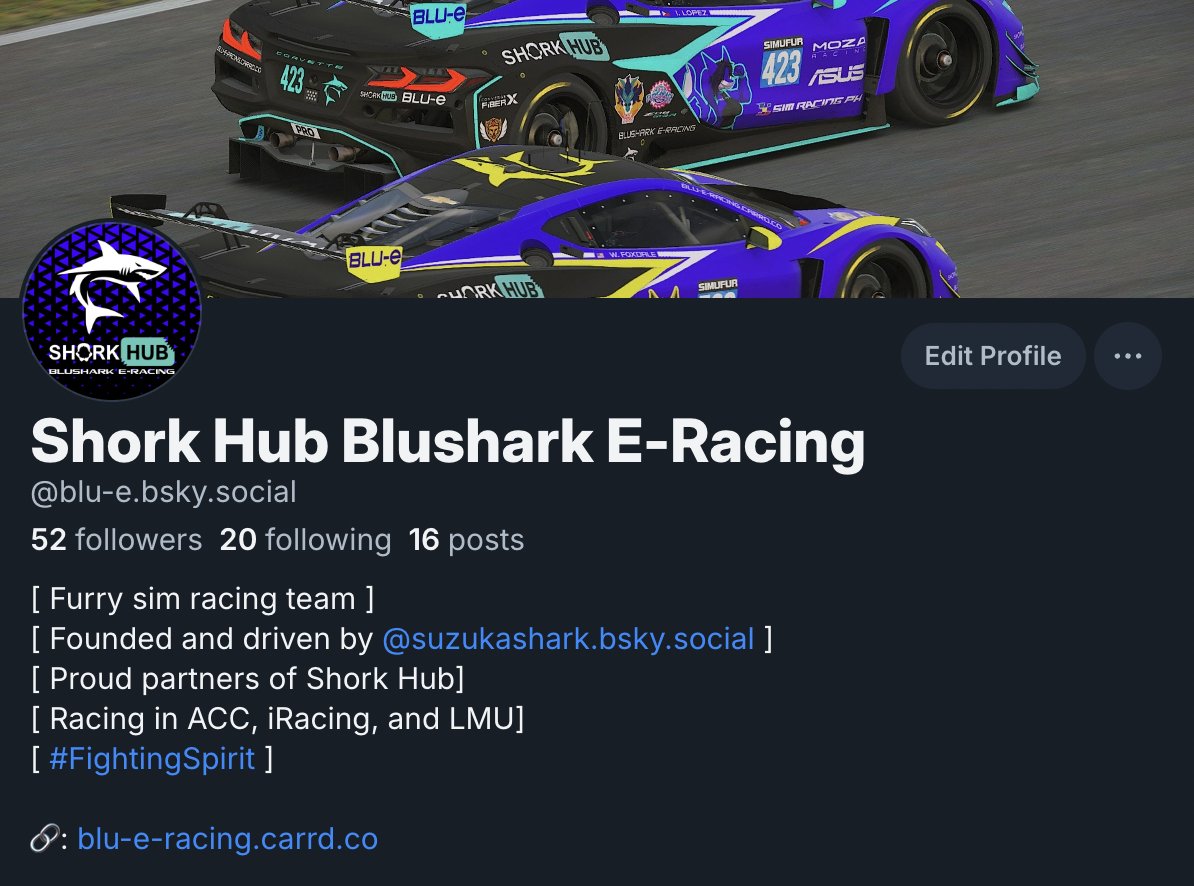 Blushark E-Racing tweet media