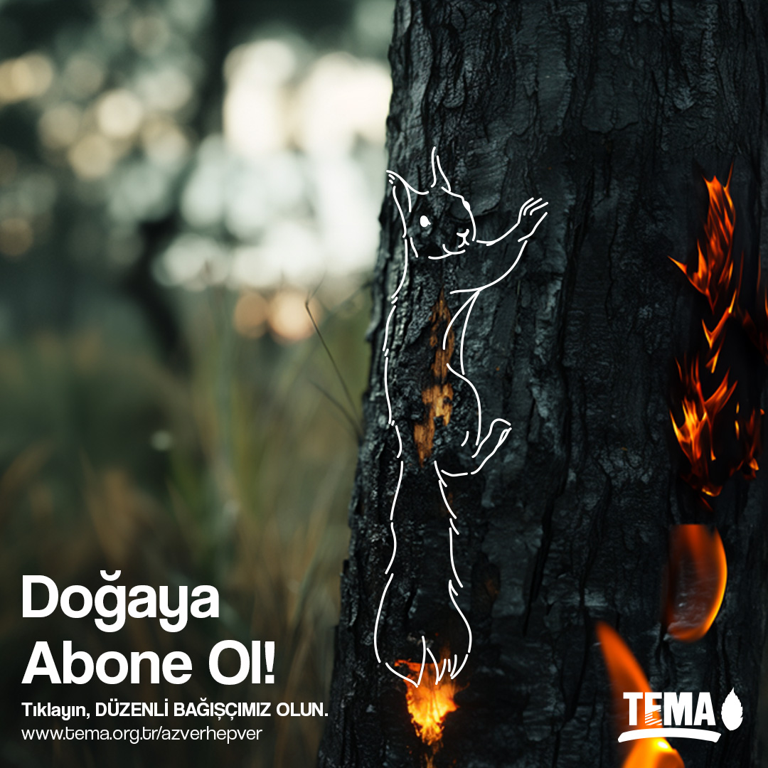 Doğaya Abone Ol! 🌿

Toprak Dedemiz Hayrettin Karaca’nın dediği gibi “Az ver hep ver.” 🙏🏼

Küçük ve düzenli bağışlarınızla; toprak başta olmak üzere tüm doğal varlıkları koruma, eğitim ve farkındalık çalışmalarımıza her ay destek olabilirsiniz. 🌳

Aylık düzenli bağış için