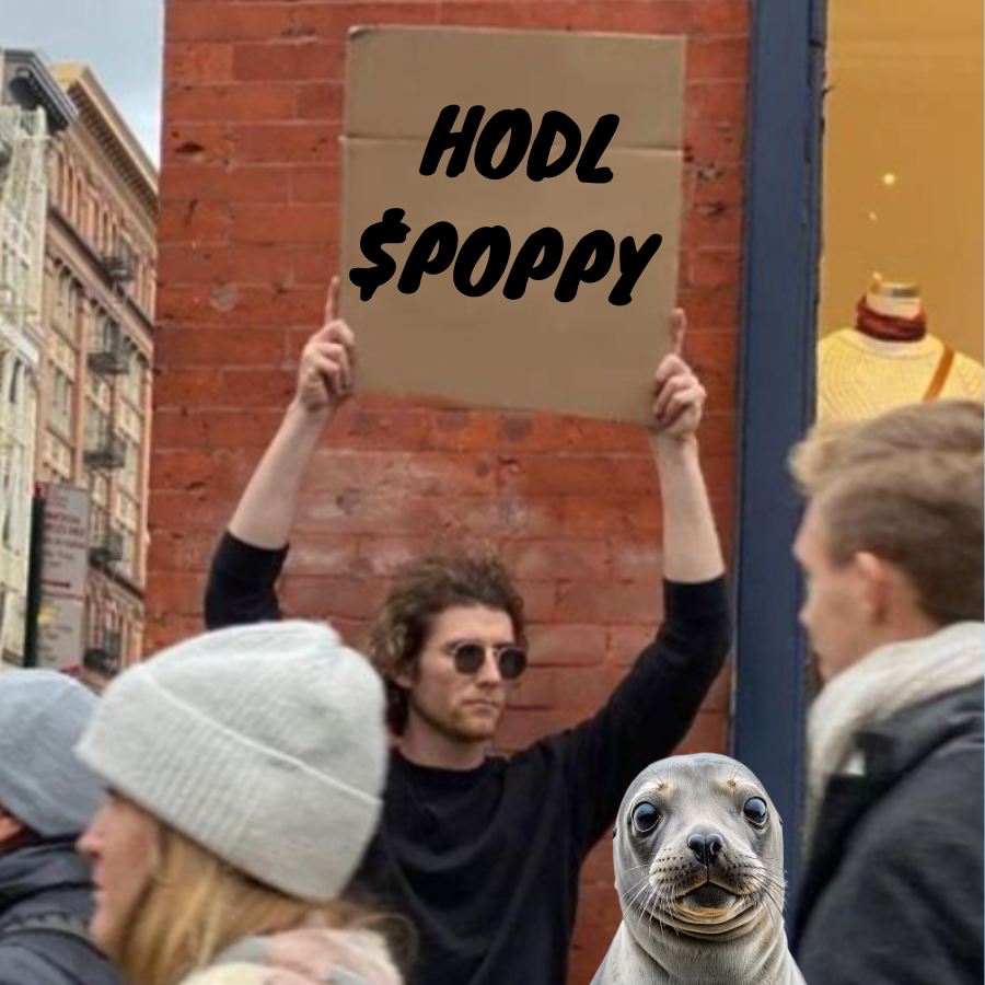 poppyonsui's tweet photo. Hodl $POPPY 🦭🚀

https://t.co/5RDSZ8WefG

#POPPY #SUI #MEME #MEMECULT #MOONSHOT https://t.co/AFGIm8irwY