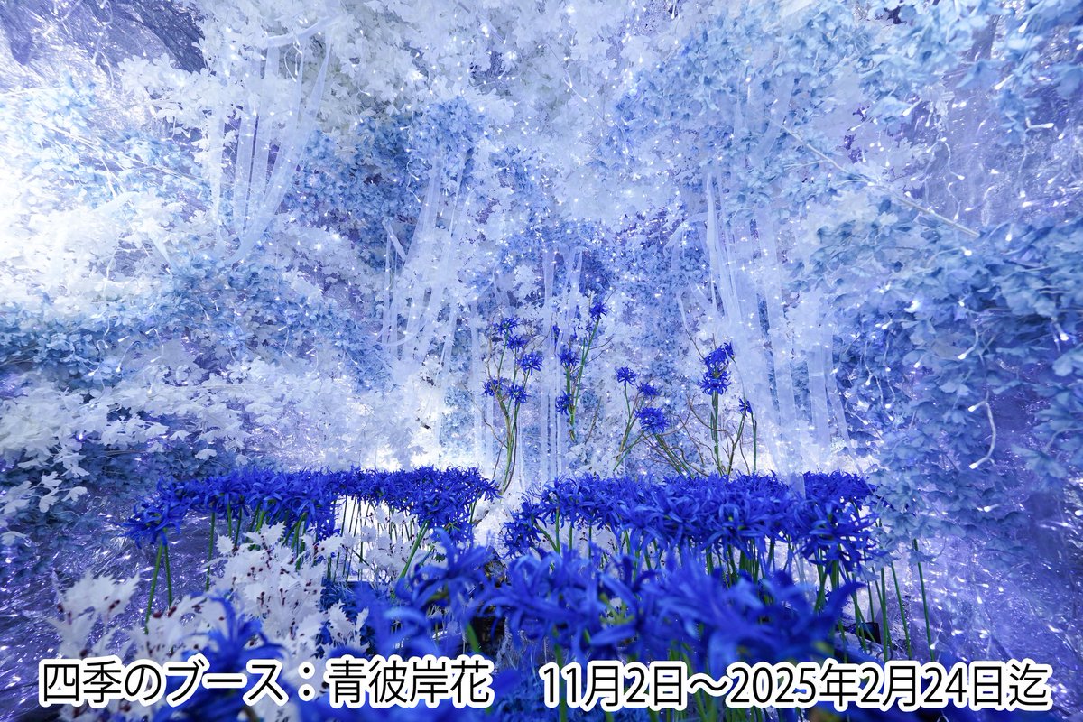 こむや スタジオこむや on X