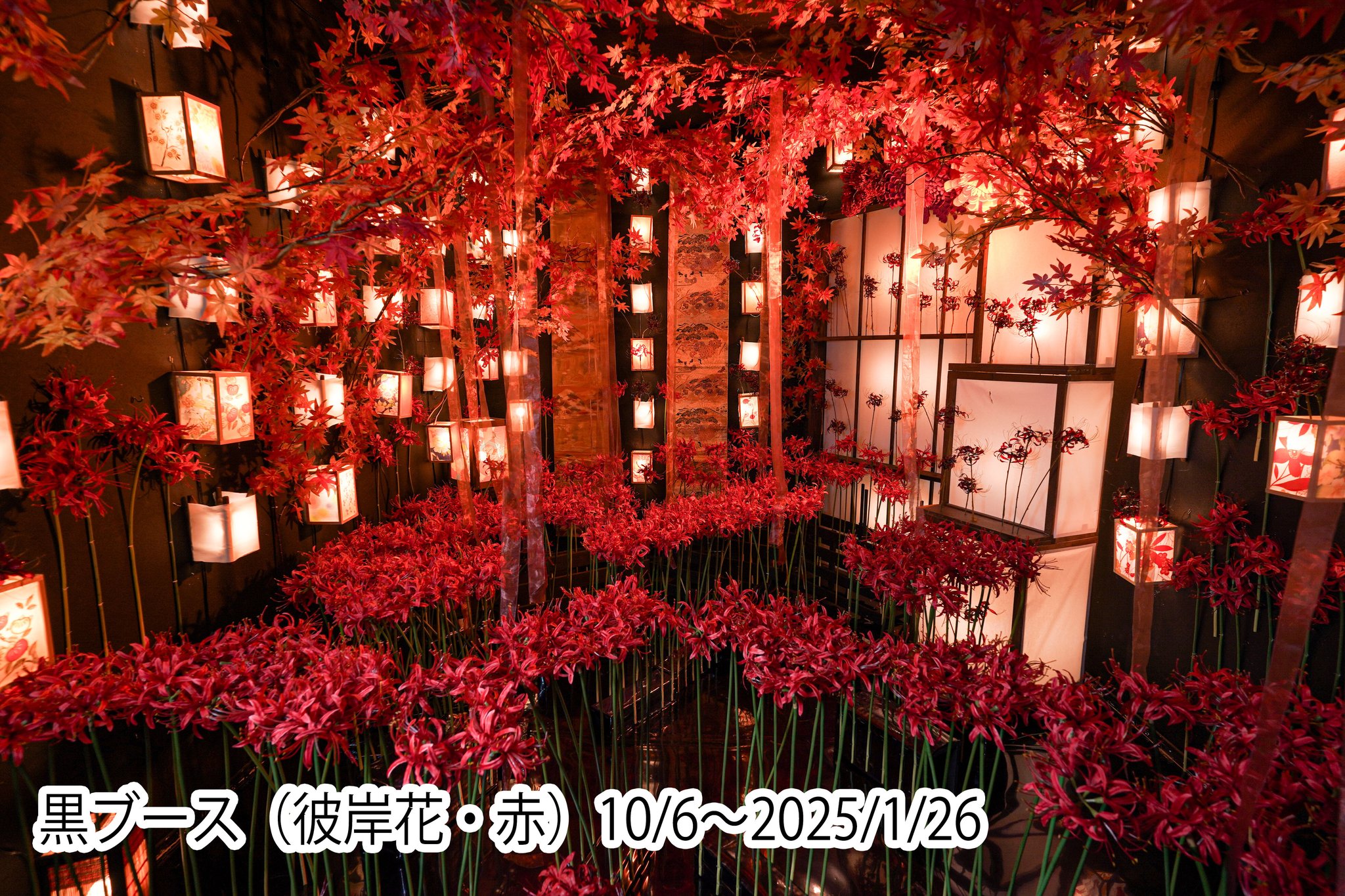 こむや Highlights by スタジオこむや (@comuya_com) / X