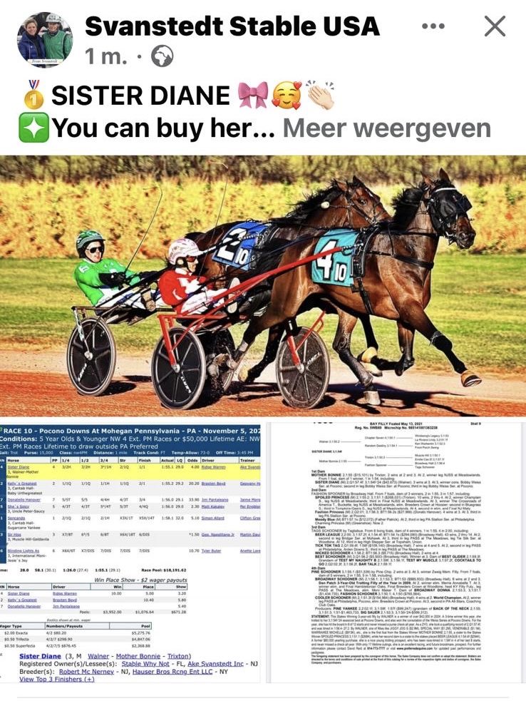 Tomorrow (friday) at the Harrisburg Sales : hip nr. 1566 SISTER DIANE.
A well bred 3 yr old filly by Walner, rec 1.54 and earnings of US$ 55.000 
Absolutely worth looking at 👌