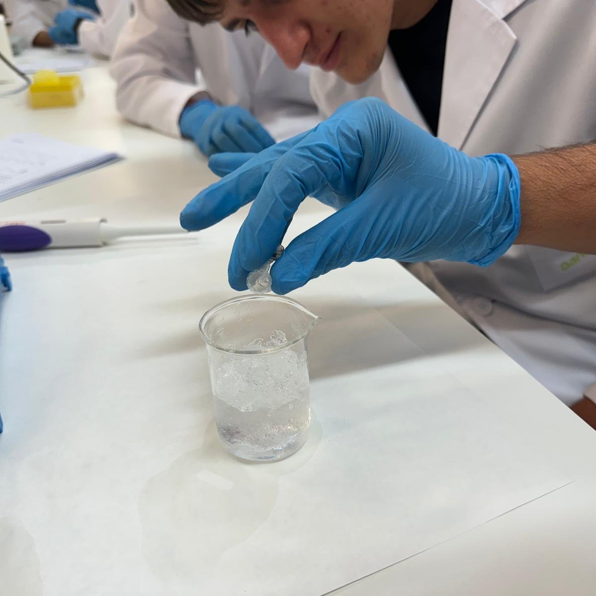 PortUIB's tweet image. Aquesta setmana hem començat les pràctiques al laboratori #DemoLab amb l'objectiu de fomentar l’interès per la #ciència entre els estudiants de 4t d’ESO i 1r de batxillerat 🧪🧫🔬🦠⚛️
seras.uib.cat/demolab_demote…
#SeràsUIB