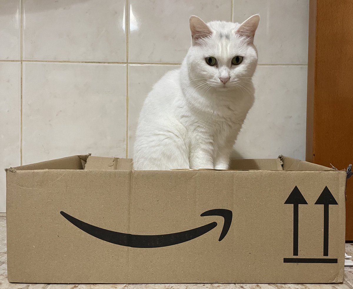 CatAged's tweet photo. @Anthony20211117 https://t.co/hrunYKiqSI