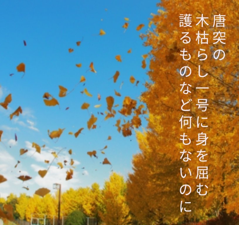 〈番外〉
唐突に木枯らし一号に身を屈む護るものなど何もないのに
#Tanka #短歌 #木枯らし一号