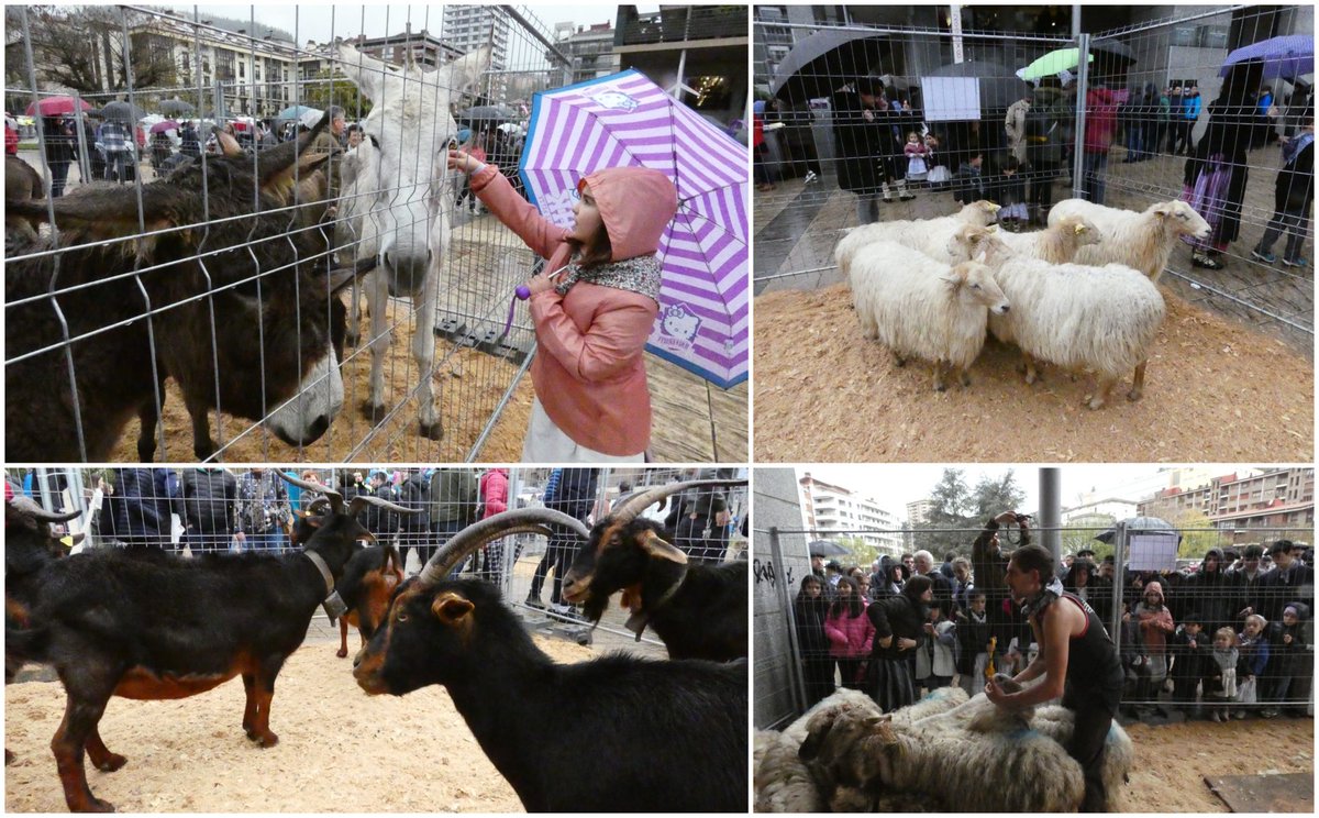 Ganadu Ferian parte hartzeko izen-ematea zabalik dago: mondraberri.eus/ganadu-ferian-… #Baserria #Ganadua <a href="/santamasak/">Santamasak</a> #Arrasate