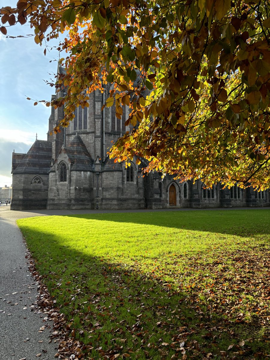 Helen Doyle tweet media