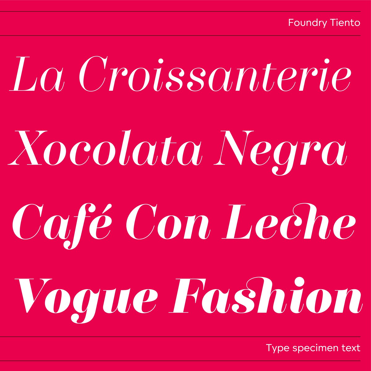 TheFoundryTypes's tweet image. Foundry Tiento, a graceful, curvaceous, exquisite, and delicately poised Neo-classical typeface suitable for editorial, headline display, and branding. 

Tr or Buy options are available via the link in our profile.

#fonts