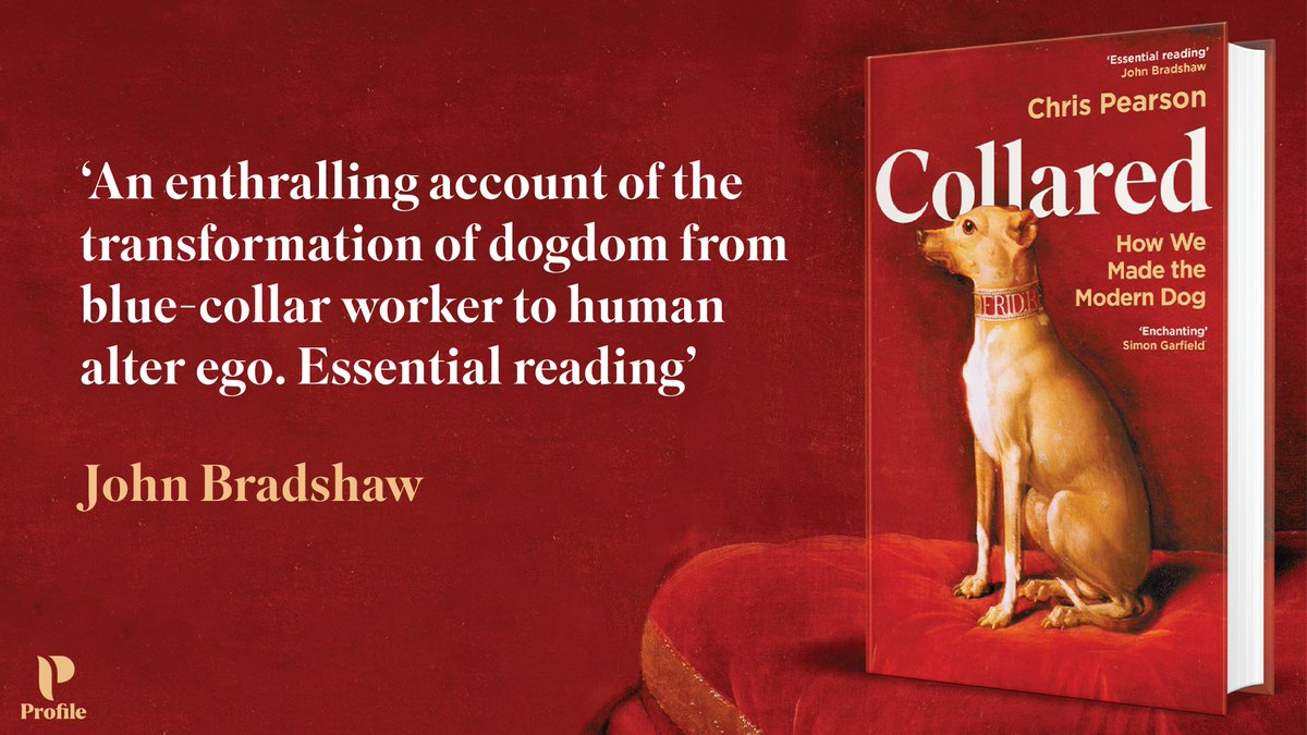 Profile Books (@profilebooks) on Twitter photo From the forests of medieval Europe, where greyhounds chased down game for royalty, to the frontlines of twentieth-century conflicts, where dogs carried messages, this is the story of how we made the modern dog.
#Collared is out now 🐶
profilebooks.com/work/collared/ <a href="/SniffThePastDog/">Chris Pearson</a> From the forests of medieval Europe, where greyhounds chased down game for royalty, to the frontlines of twentieth-century conflicts, where dogs carried messages, this is the story of how we made the modern dog.
#Collared is out now 🐶
profilebooks.com/work/collared/ <a href="/SniffThePastDog/">Chris Pearson</a>