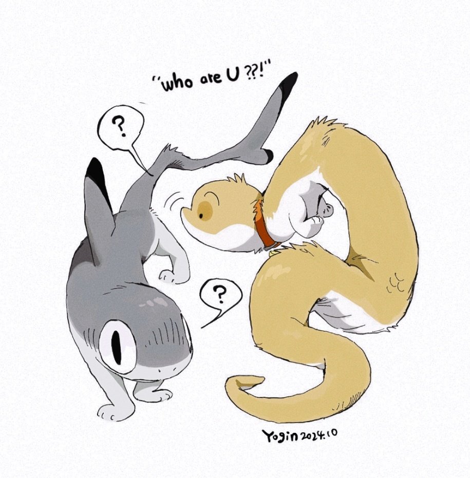 yogin幺菁 (@yoginnnnnn) on Twitter photo 